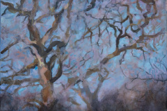 (Ref - 20: ET12) Hazy light, acrylic on canvas, 50x50, £330