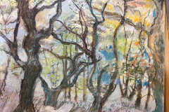 (Ref - 44: JJ10) Belsay Autumn Trees, pastel  on paper, 42 x 32 cms, £255, framed