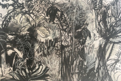 (Ref - 23: JJ13) Spring flowers III, charcoal and pastel on paper, 48 x 38 cms, £95, mounted