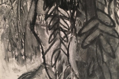 (Ref - 40: JJ15) Trailing Foliage II, Charcoal and pastel on paper, 48  x 38 cms, £95, mounted