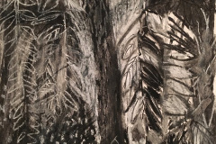 (Ref - 41: JJ14) Trailing Foliage I, Charcoal and pastel on paper, 48 x 38 cms, £95, mounted