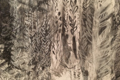 (Ref - 24: JJ18) Trailing Foliage V, Charcoal and pastel on paper, 48 x 38 cms, £95, mounted