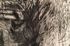 (Ref - 25: JJ17) Trailing Foliage IV, Charcoal and pastel on paper, 48 x 38 cms, £95, mounted
