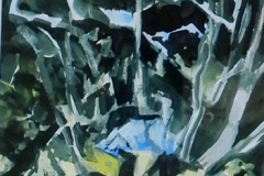 (Ref - 30: MS4) BANKS OF THE RIVER TILL I, Gouache on Paper, Actual Image Size: 16 x 11, Framed Size: 34 x 28.5, £125