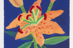 Apricot Lily on Ultramarine and Black [dyj-98]