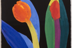 Two Red Tulip with  Green to Yellow Leaf    [007-01]