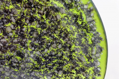 River-bed bowl: Bullseye Glass and frits. 30 x 30 cm