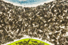Primordial detail