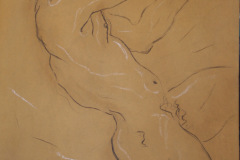 Shoot! Charcoal