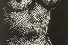 torso-1