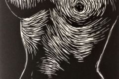torso-4
