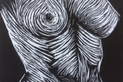 torso-6