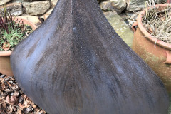 [SOLD] Title: DOME, black with ribbing - Ref: DKSCU13 - Cost: £1,500