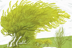 21. Windswept 3/7 Cat Moore - Type: Oil based ink on Botam paper - Size: 465x390mm - Cost: £295