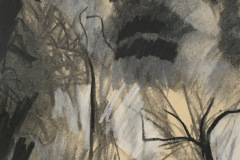 Conifer-drawing