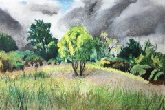 Crack-willow