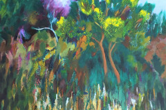 Overgrown-path