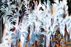 Rosebay-willowherb-in-seed