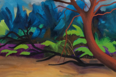 Shelter-behind-the-meadow