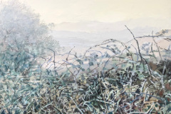 Early morning  February  The Black Ashy oil and wax on board  61x61cm