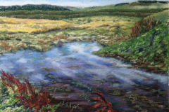 Quarry-Pool-June