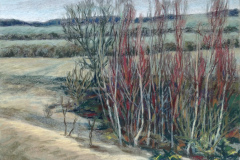 the-Quarry-March