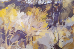 Across-the-Dene