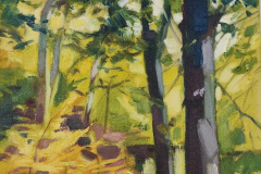 Beech-Trees