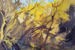 Glimpse-of-Gold