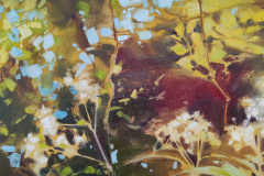 Reflected-Trees