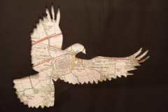 9.BIRDS-EYE