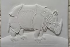 Durers-Rhinoceros-1515