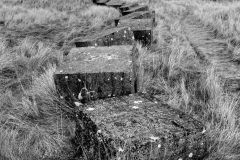 Goswick-Sands-Tank-Traps