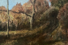 autumn-walk