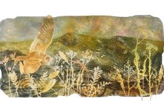 Curlews On The Coast - Owl On The Moors IV