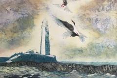 wildlife-art-print-carol-nunan-arctic-terns-iii